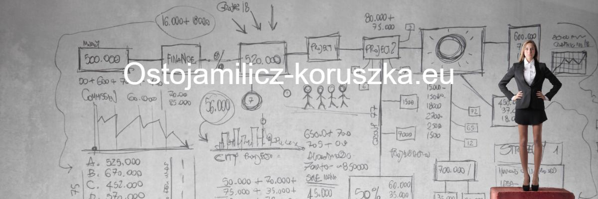 ostojamilicz-koruszka.eu